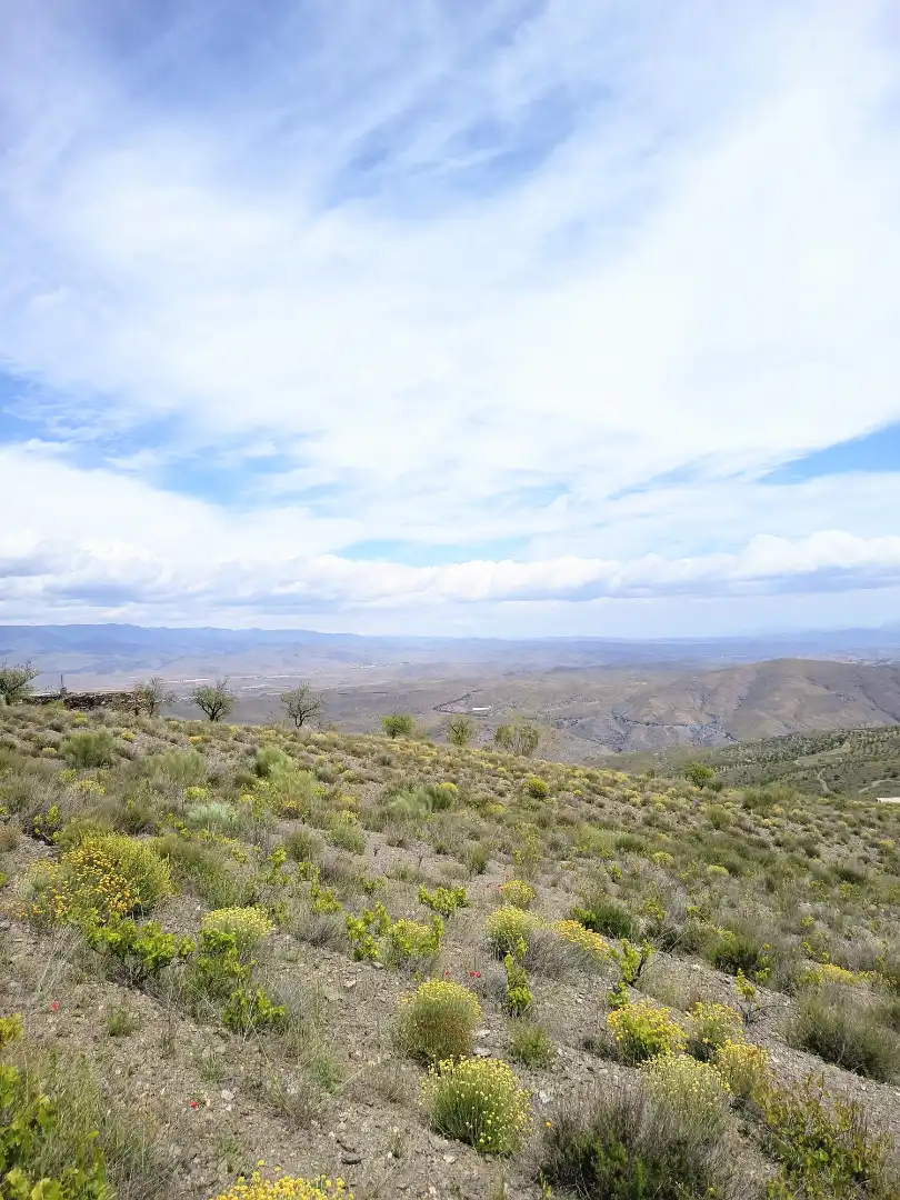 Terreno rustico in vendita a Alboloduy, imagen 13