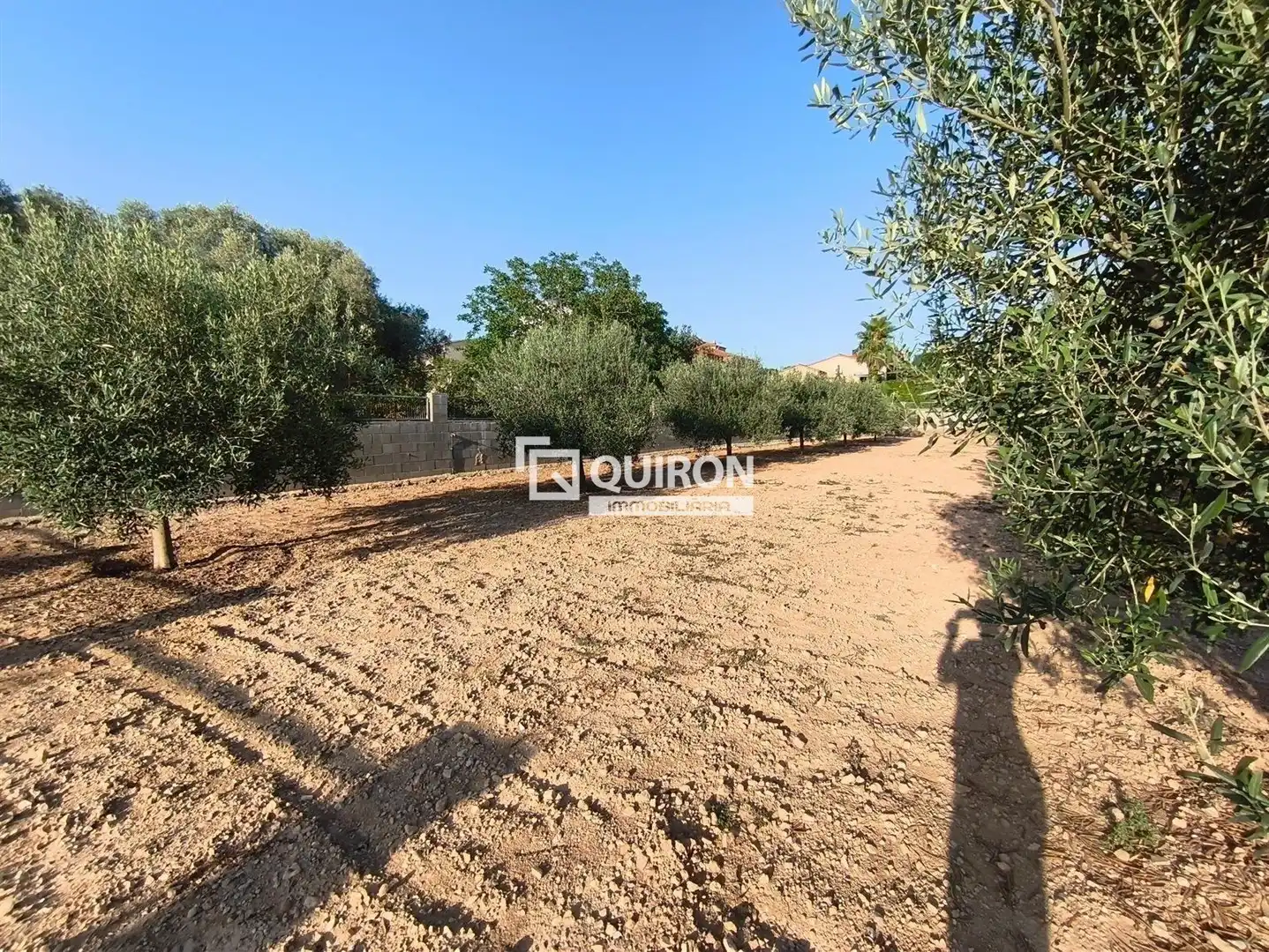 Land for sale in Montferri
