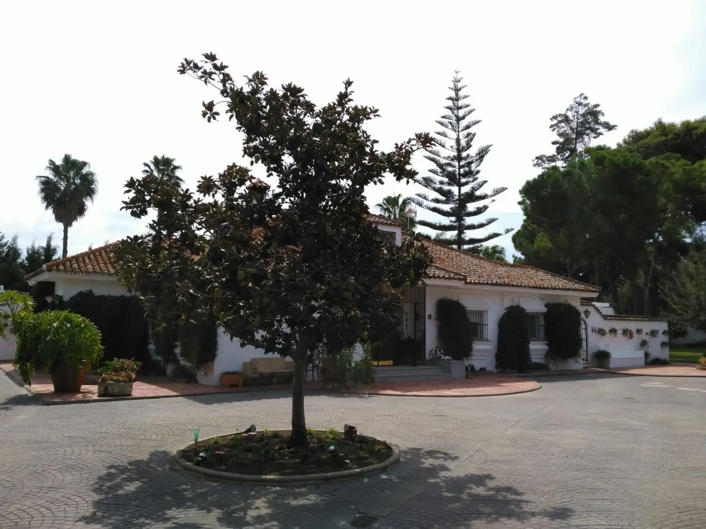 Villa mit Pool zum Verkauf in El Retiro - Parque Atlántico - Ronda este, imagen 3