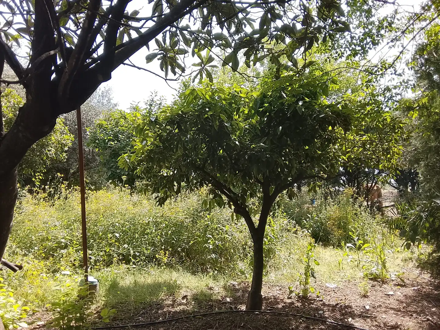 Houses for sale in Córdoba  with Air Conditioner, Private garden and Terrace