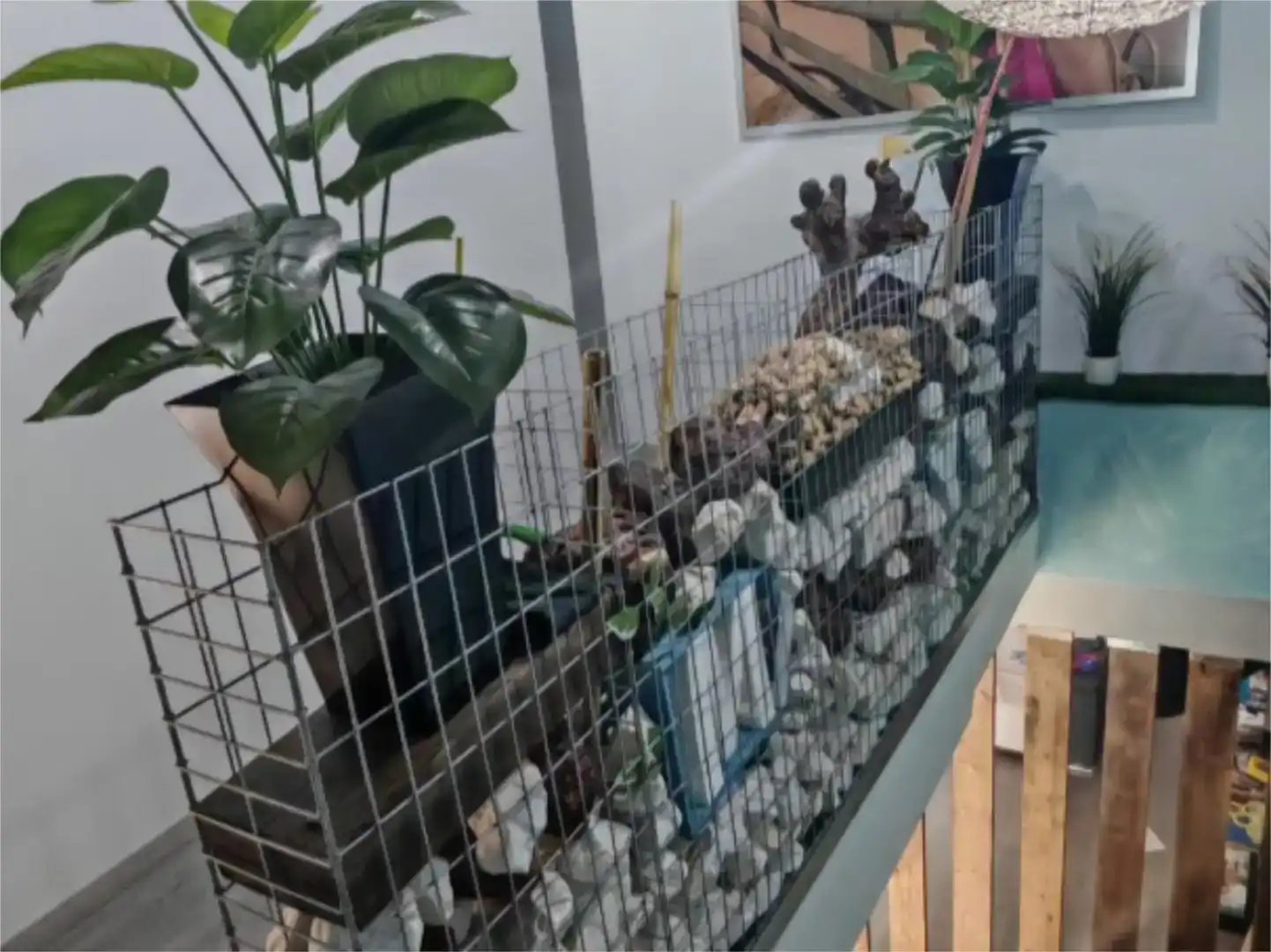 Terraza de Planta baja en venta en Bullas
