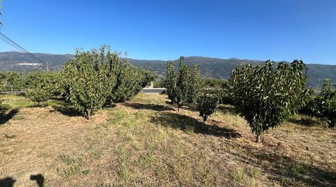 VENTA DE SOLAR EN VALDASTILLAS-VALLE DEL JERTE, immagine 4