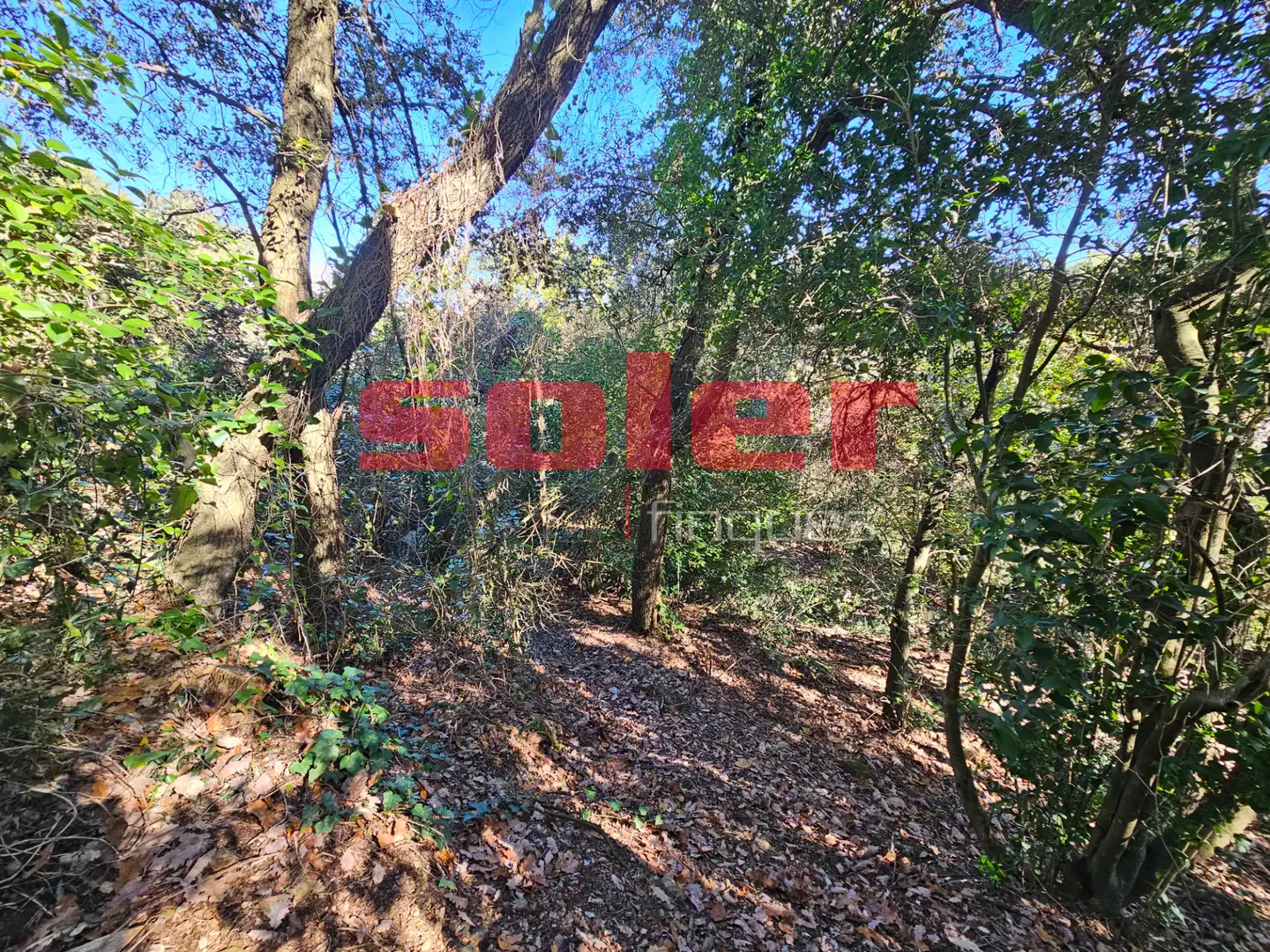 Finca rústica en venta en Barcelona