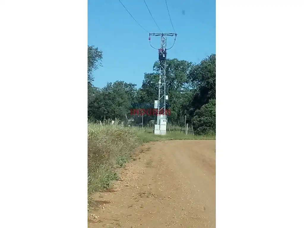 Vista exterior de Finca rústica en venda en Alcolea de Tajo