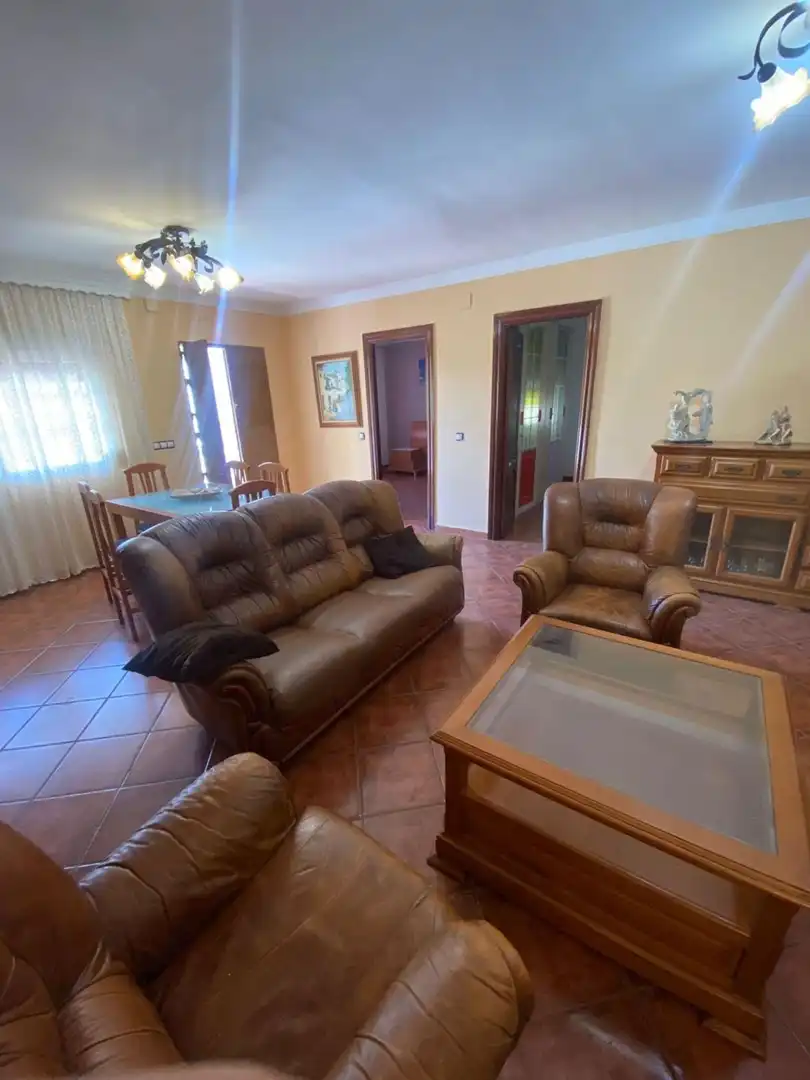 Sala d'estar de Casa o xalet en venda en Málaga amb Traster