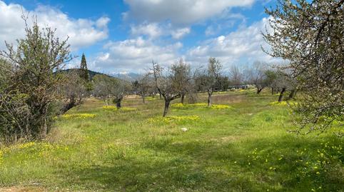 Photo 2 of Industrial land for sale in N/a, 1, Establiments, Illes Balears