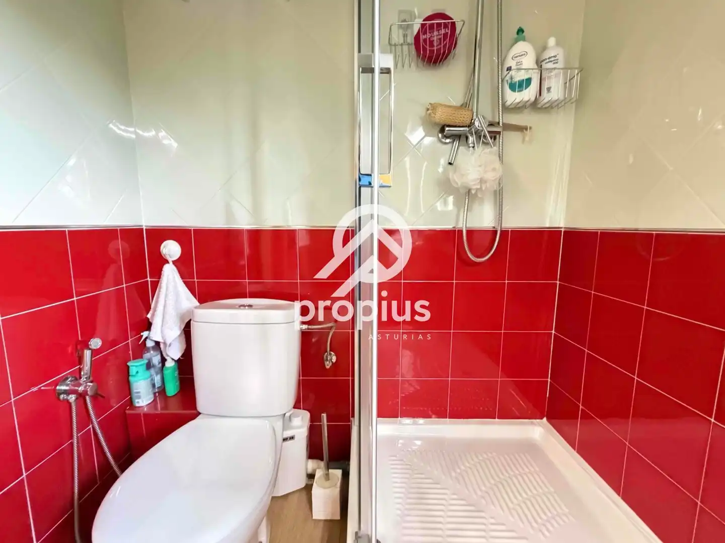 Bathroom of Duplexes for sale in Ribadedeva  with Heating