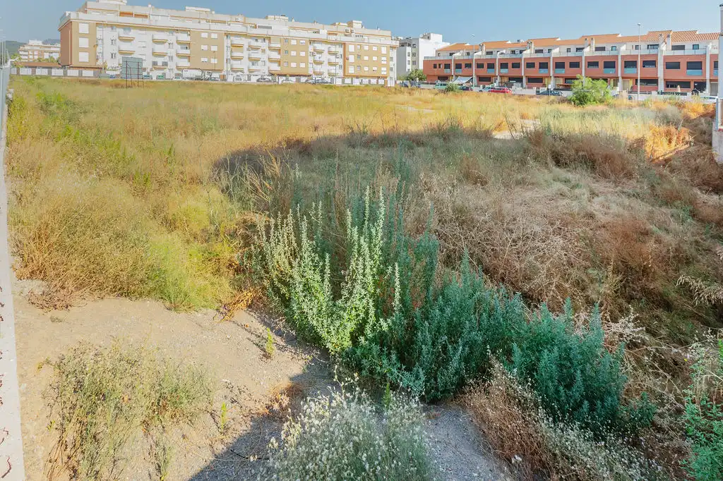 Rural land for sale in C/ Alquerías, imagen 10