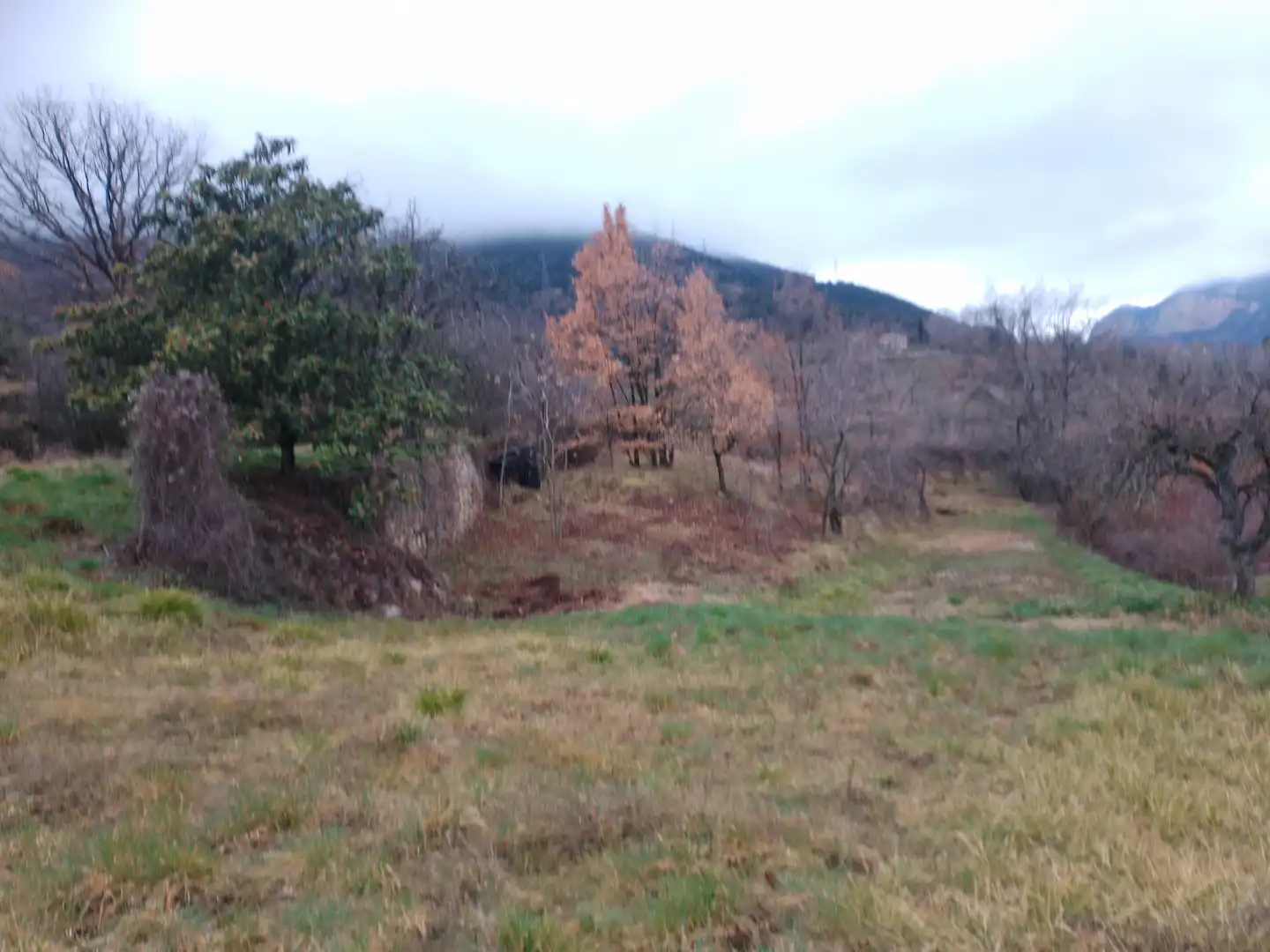 Terreny rústic en venda a La Nou de Berguedà