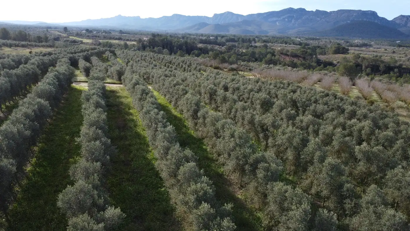 Terreno en venta en Tivissa