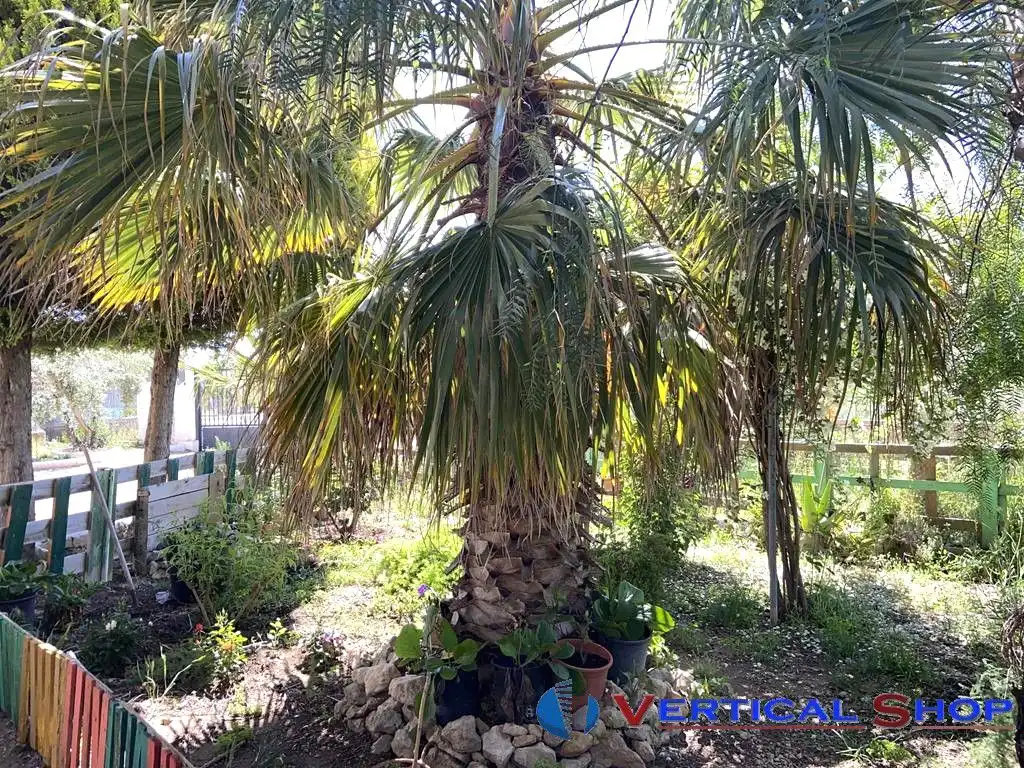 Villa à vendre à Martin Gil, imagen 24