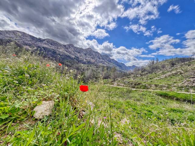 Terreno residencial en Venta en Tàrbena