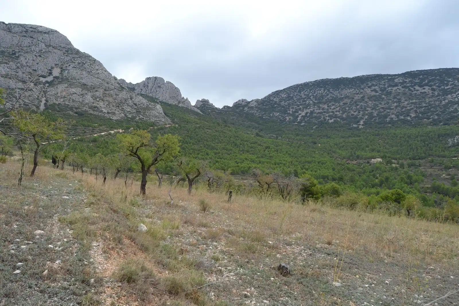Finca rústica en venda en Sella