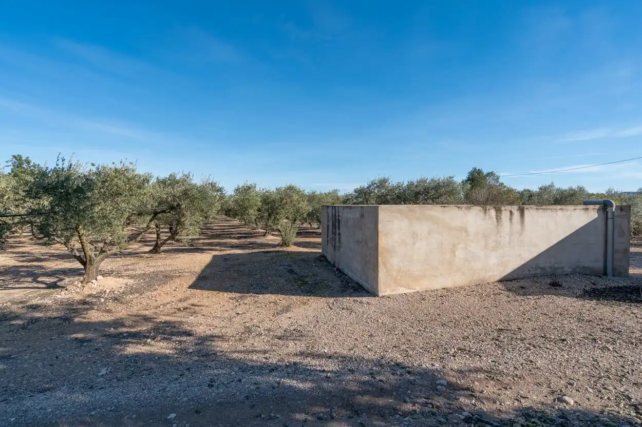 Rustikales Grundstück zum Verkauf in Santa Bàrbara, imagen 5