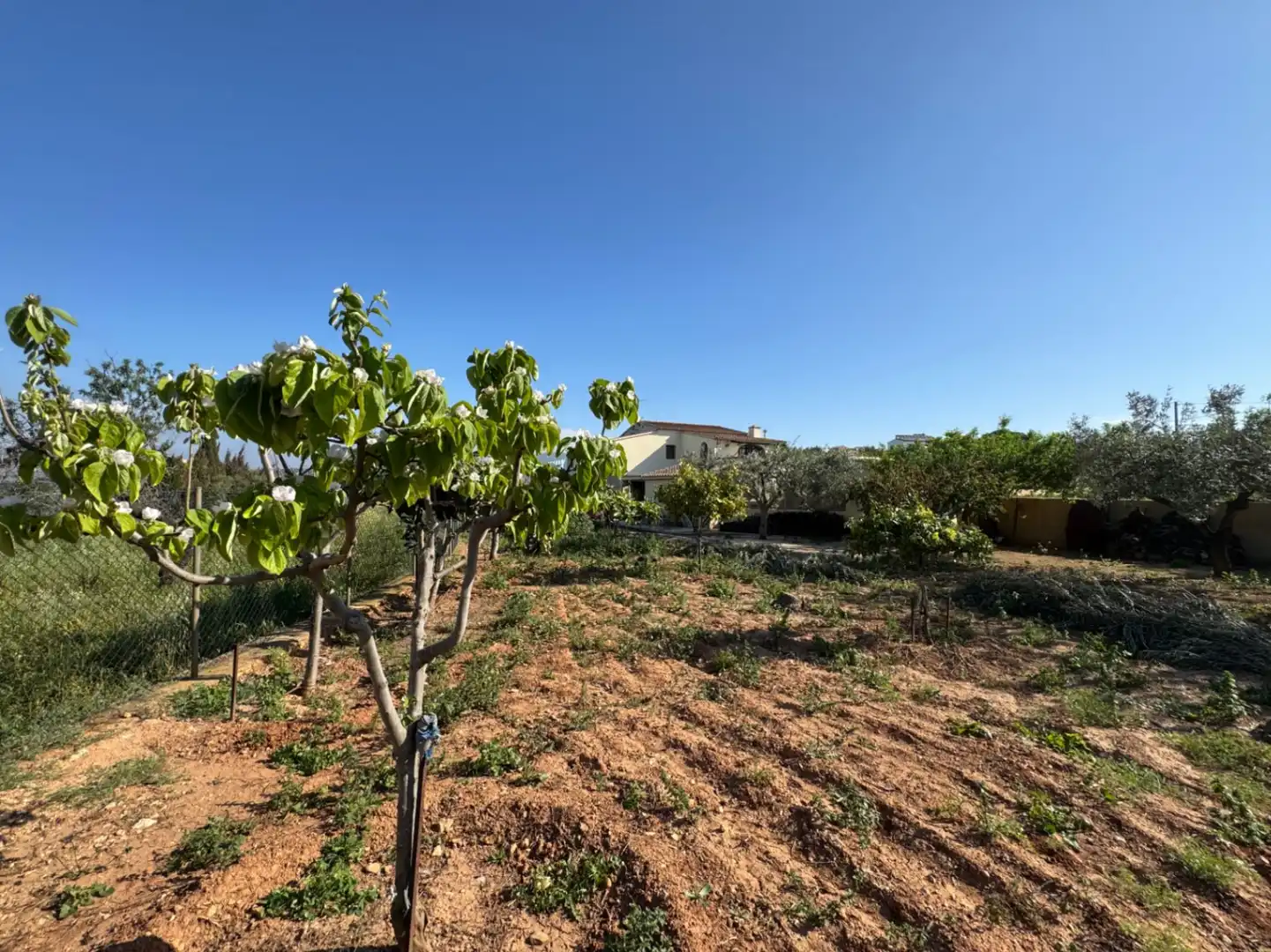 Maison rustique avec piscine à vendre à Benissa pueblo, imagen 21