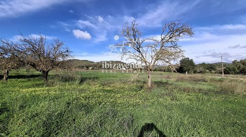 Parcela a la venta de 16.300 m en Buscastell, imatge 3