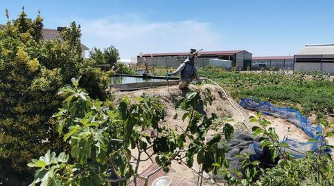 Finca en santa olalla toledo, imatge 4