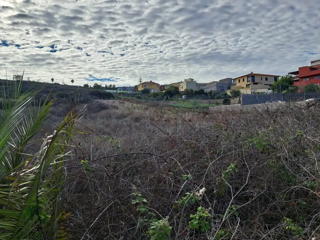 Rural land for sale in El Sauzal, imagen 15