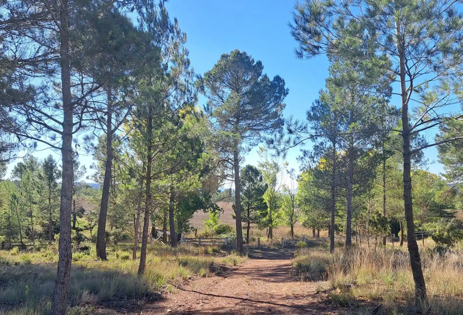 Country homes for sale in Cortes de Pallás  with Heating and Swimming Pool