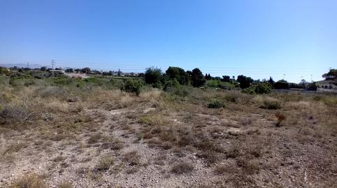 Foto 4 von Grundstücke zum Verkauf in Partida Valverde Bajo, Valverde, Elche / Elx
