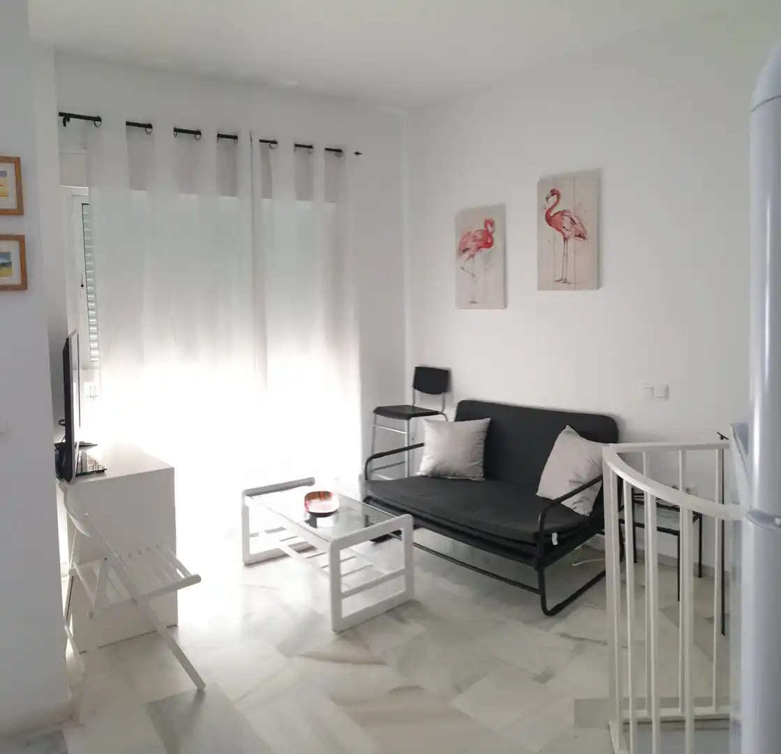 Wohnzimmer von Wohnung zur Miete in Málaga mit Möbliert und Waschmaschine