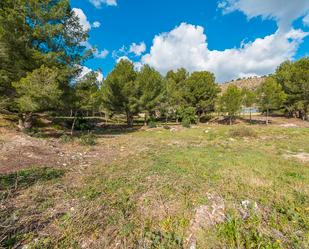 Land for sale in Calvià