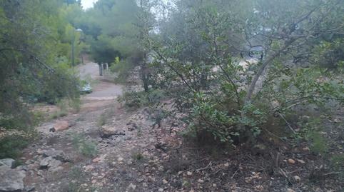 Photo 3 of Land for sale in El Castell, Burjassot