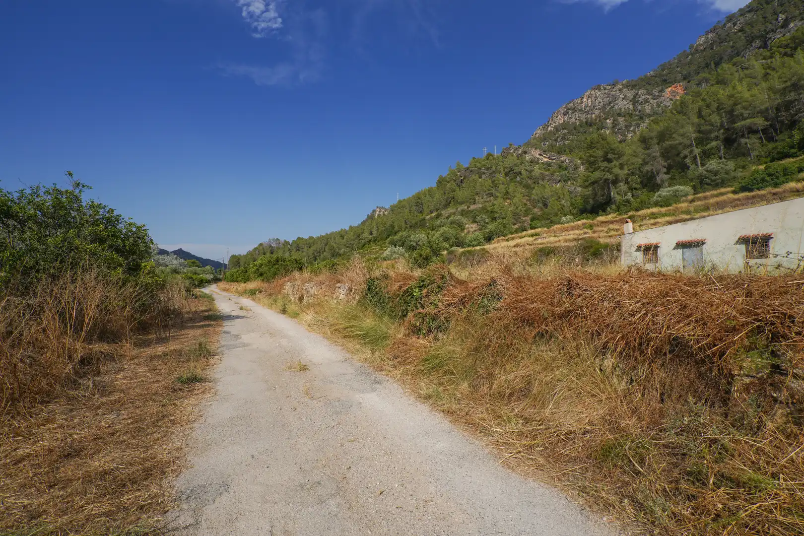 Terrain rustique à vendre à Benifallet, imagen 39