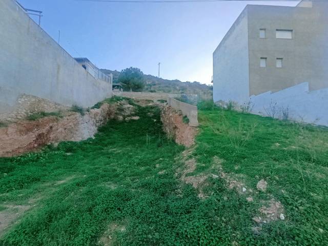 Terreno residencial en Venta en Calle PERONIÑO-BO.CONCEPCION en Barrio de la Concepción