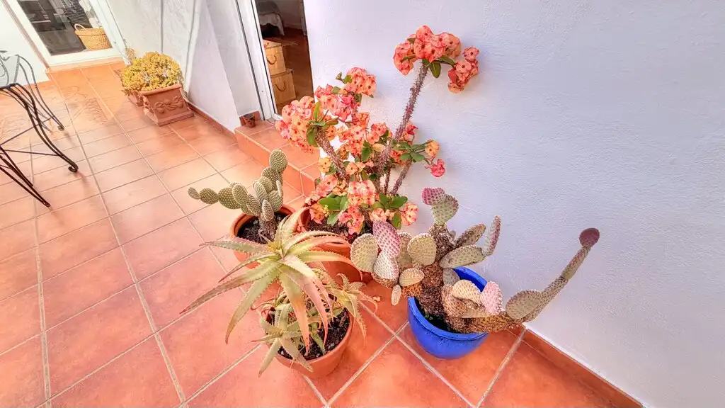 Terrassa de Finca rústica en venda en Vélez-Málaga amb Aire condicionat, Jardí privat i Terrassa