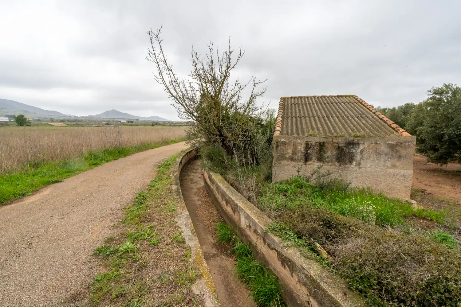 Rural land for sale in Godall, imagen 5