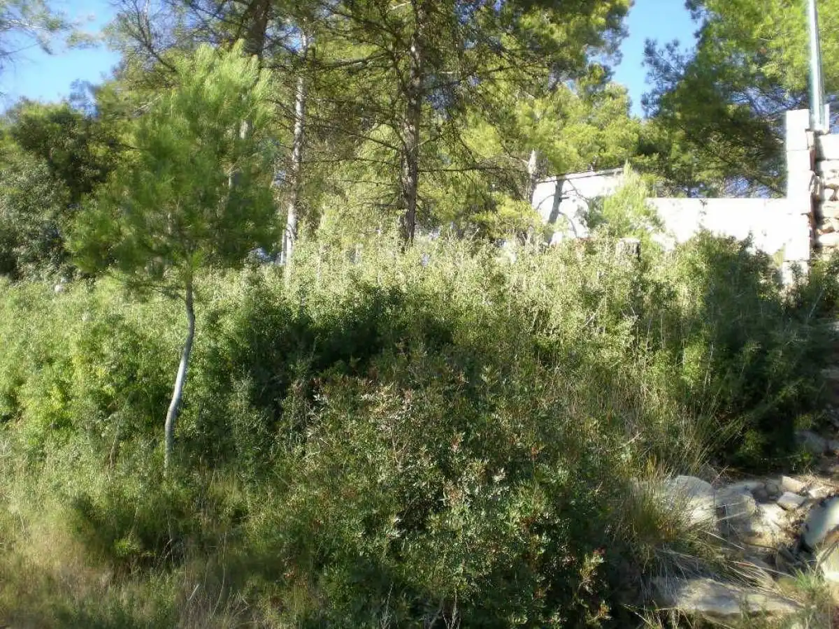 Terrenys i solars en venda a Castellnou de Bages, imagen 4