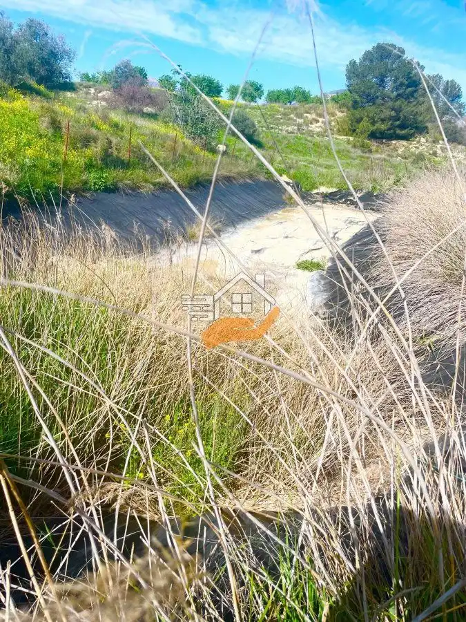 Lands and plots for sale in Pedanías Norte, imagen 18