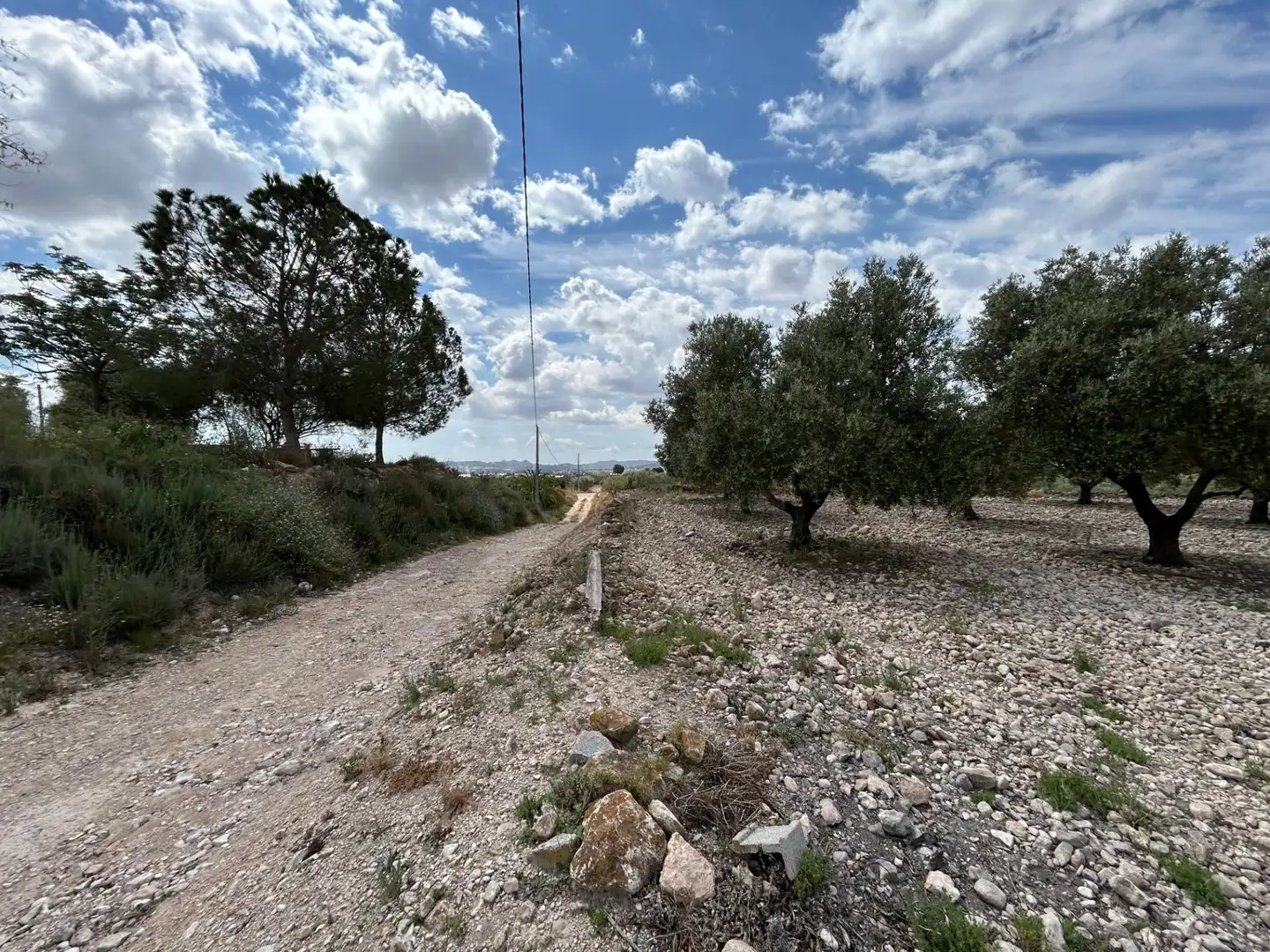Casa o xalet en venda en Novelda amb Traster, Balcó i Alarma