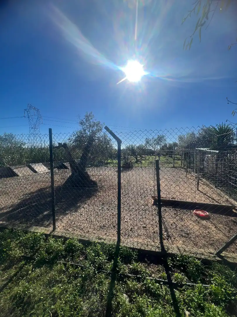 Finca rústica en venta en Botarell con Jardín privado, Trastero y Amueblado