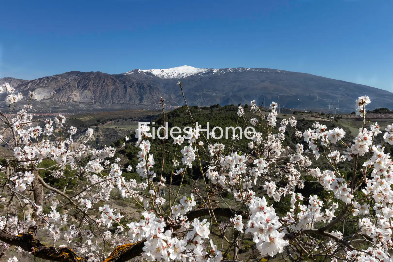 Vista exterior de Finca rústica en venda en Villamena amb Aire condicionat, Calefacció i Jardí privat