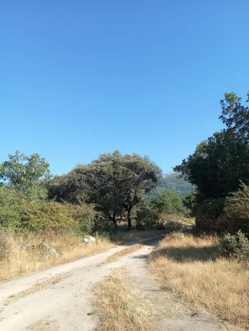 Terreni e lotti in vendita a Candeleda, imagen 5