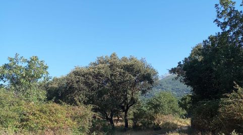 TERRENO EN CANDELEDA, immagine 5