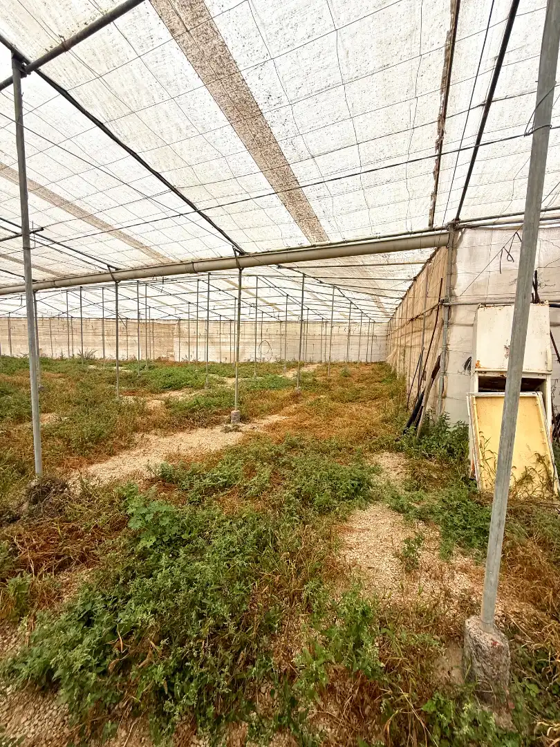Terreno rustico in vendita a Calle Trece de Septiembre 17, imagen 30
