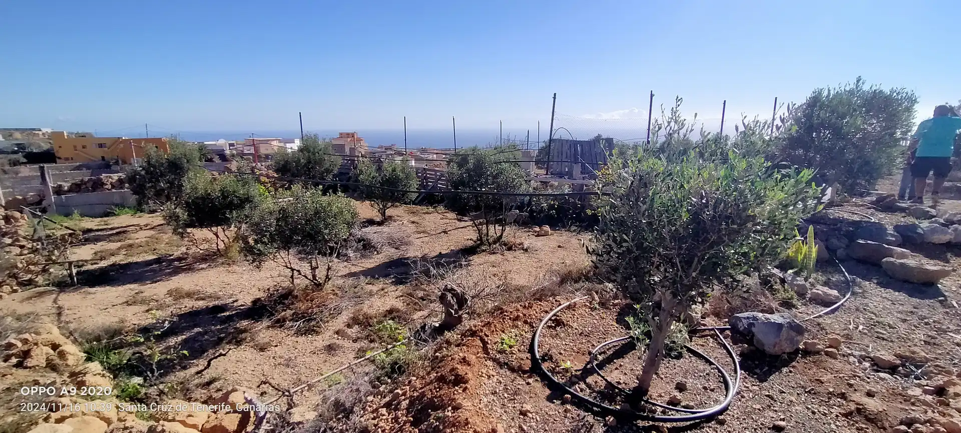Terreno en venta en Arico