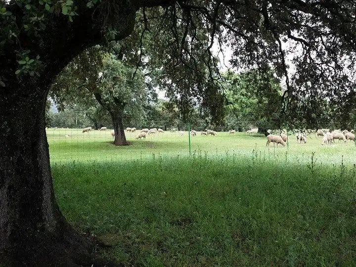 Terreno rustico in vendita a ROSARIO MARQUEZ 17 BAJO