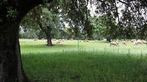 CAMPO EXCELENTE CON ACCESO CARRETERA