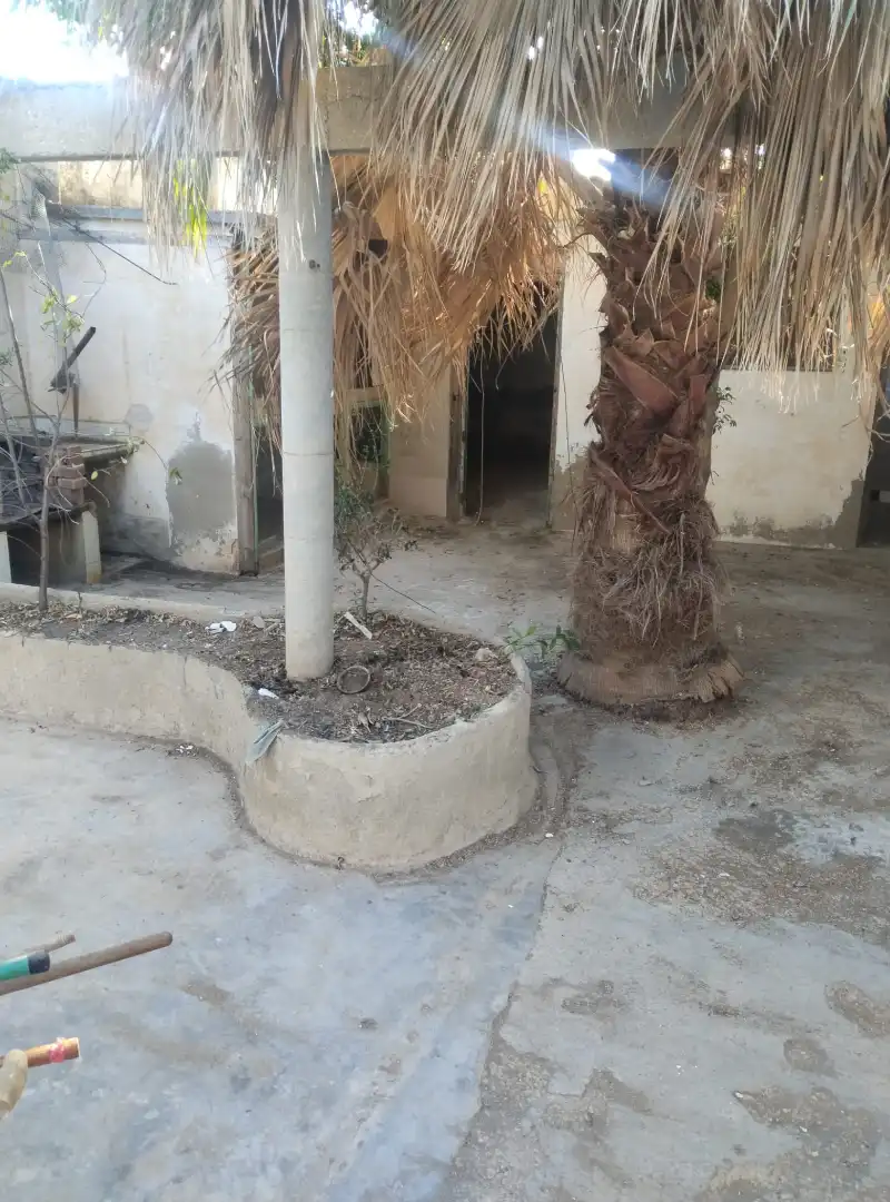 Vista exterior de Casa o xalet en venda en San Vicente del Raspeig / Sant Vicent del Raspeig amb Jardí privat, Terrassa i Traster
