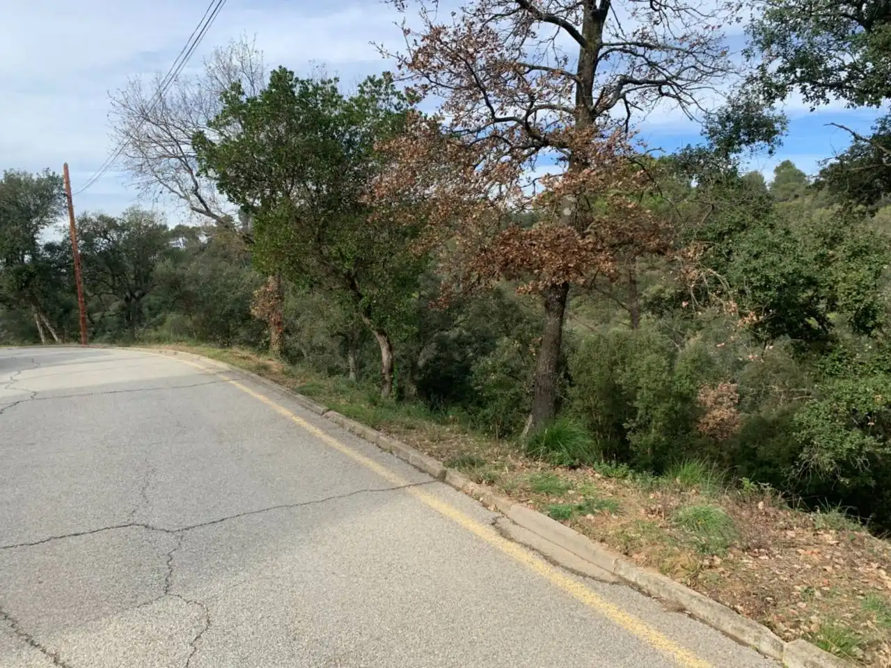 Rural land for sale in Calle llanega blanca 900, imagen 4