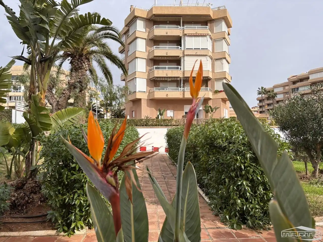 Vista exterior de Estudio de alquiler en Torrox con Aire acondicionado, Trastero y Piscina