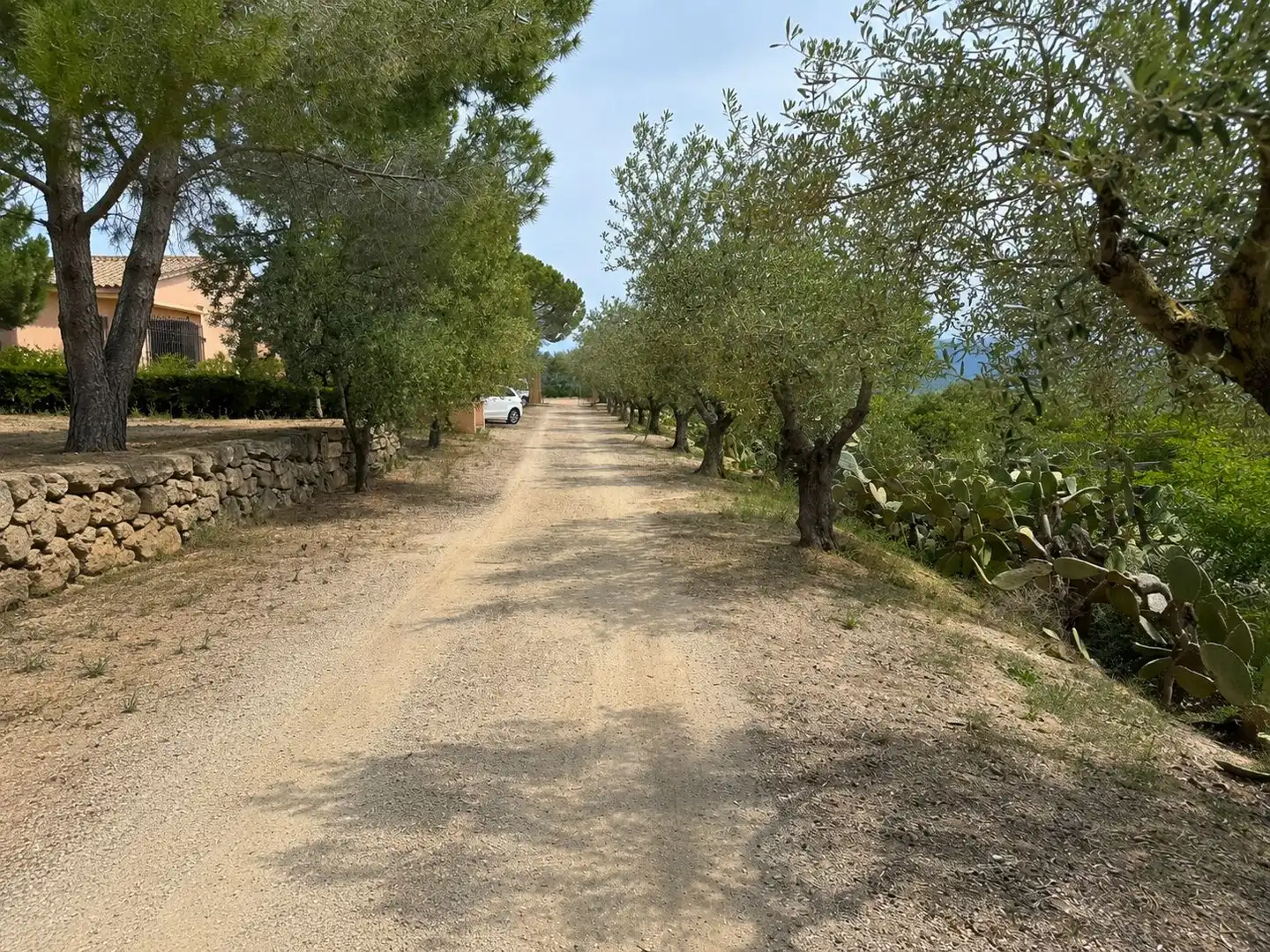 Vista exterior de Finca rústica en venda en El Molar (Tarragona) amb Calefacció, Terrassa i Piscina