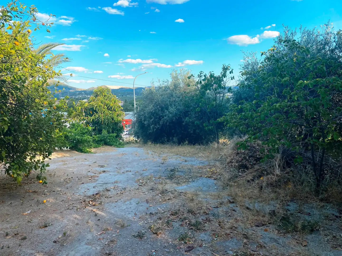 Villa con giardino in vendita a Cabra, imagen 2
