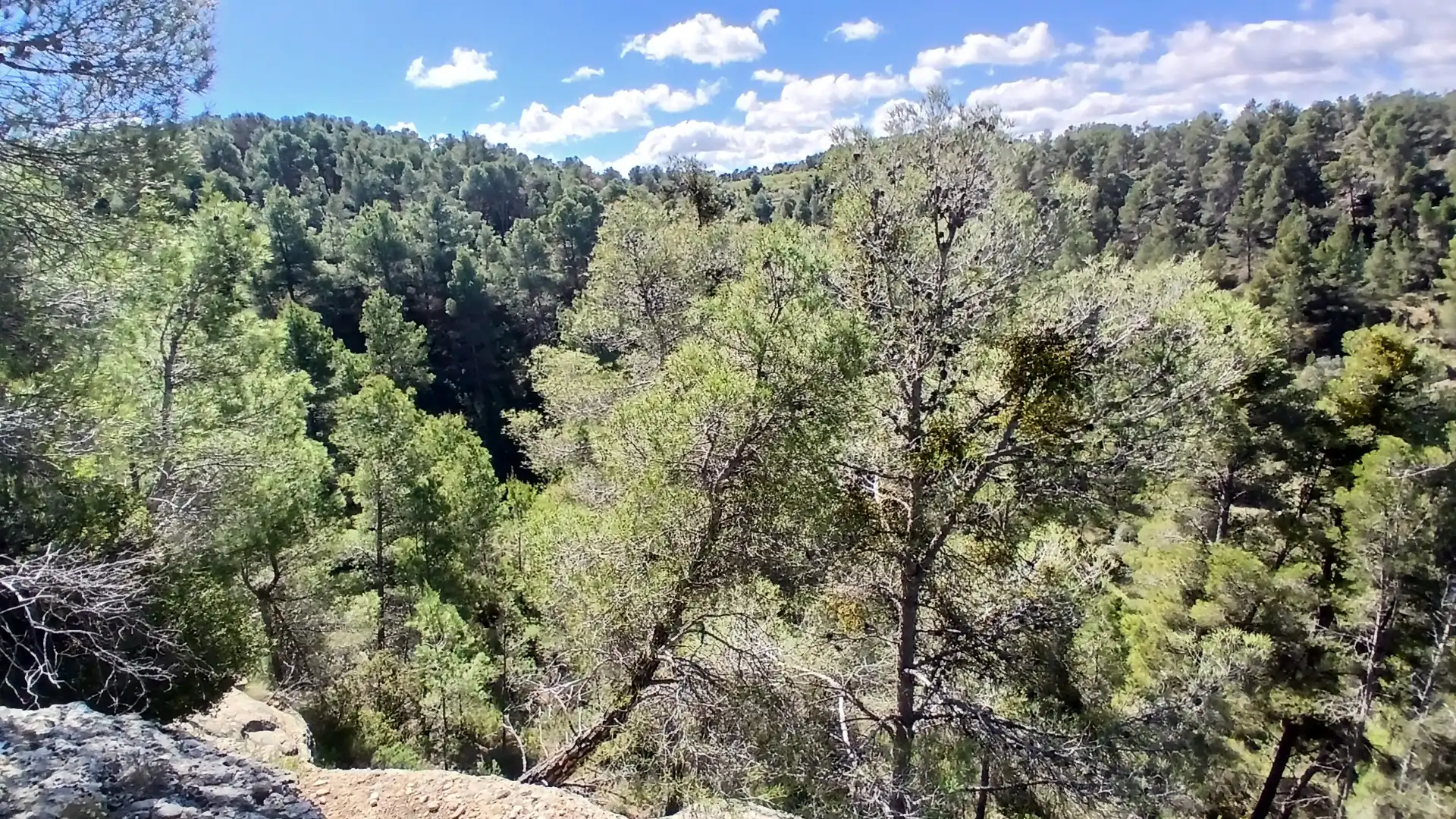 Vista exterior de Terreno en venta en Fórnoles