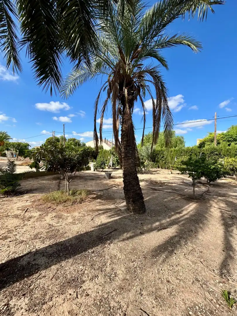 Villa avec piscine à vendre à La Algoda - Matola - Llano de San José, imagen 94