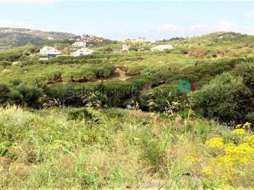 Terreni e lotti in vendita a Sotogrande Alto